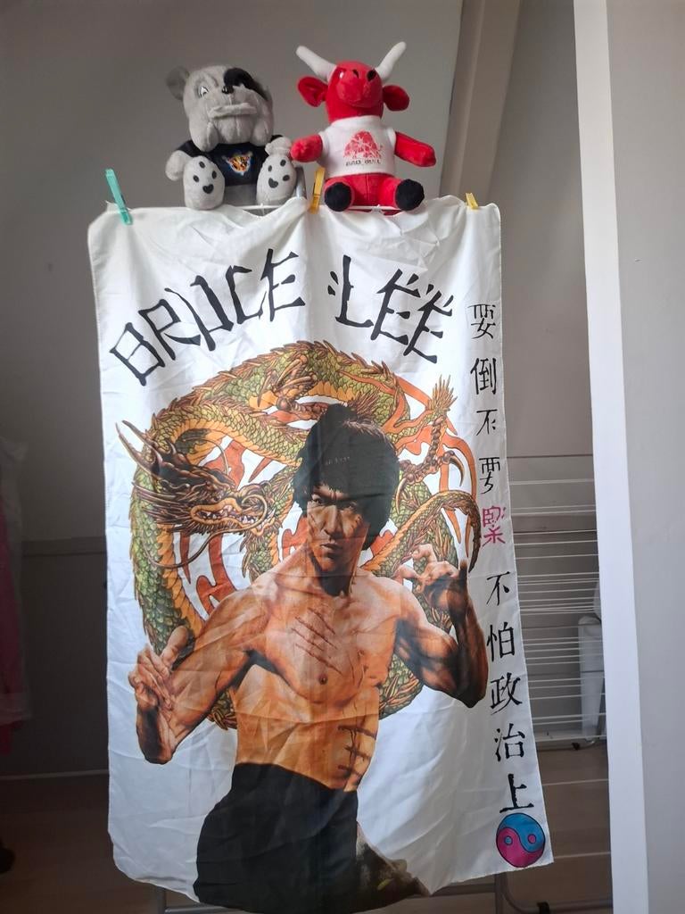 Een stof poster van Bruce Lee en twee knuffels, Ophalen of Verzenden, Zo goed als nieuw