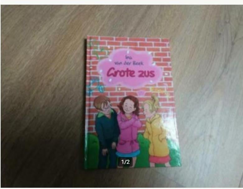 Ina van der Beek, Grote zus, Ophalen of Verzenden, Zo goed als nieuw, Fictie algemeen