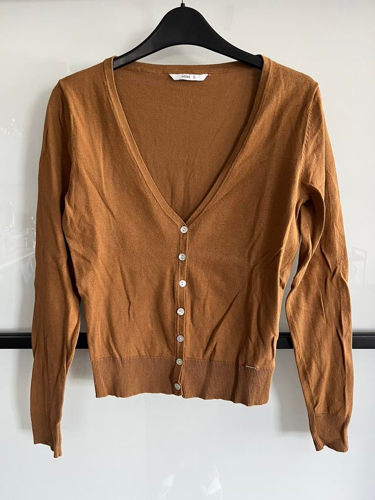 HEMA Vestje maat S (NIEUW), Ophalen of Verzenden, Nieuw, Maat 36 (S), Bruin