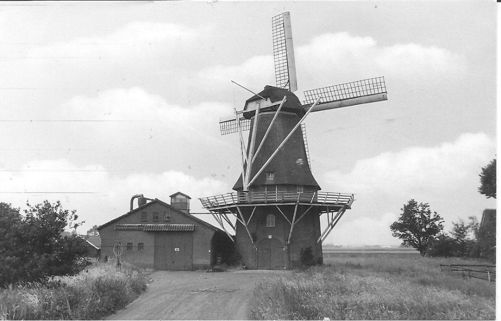 Zuidbarge Korenmolen "Zeldenrust" - Foto Juli 1975, Ophalen of Verzenden, 1960 tot 1980, Ongelopen, Drenthe