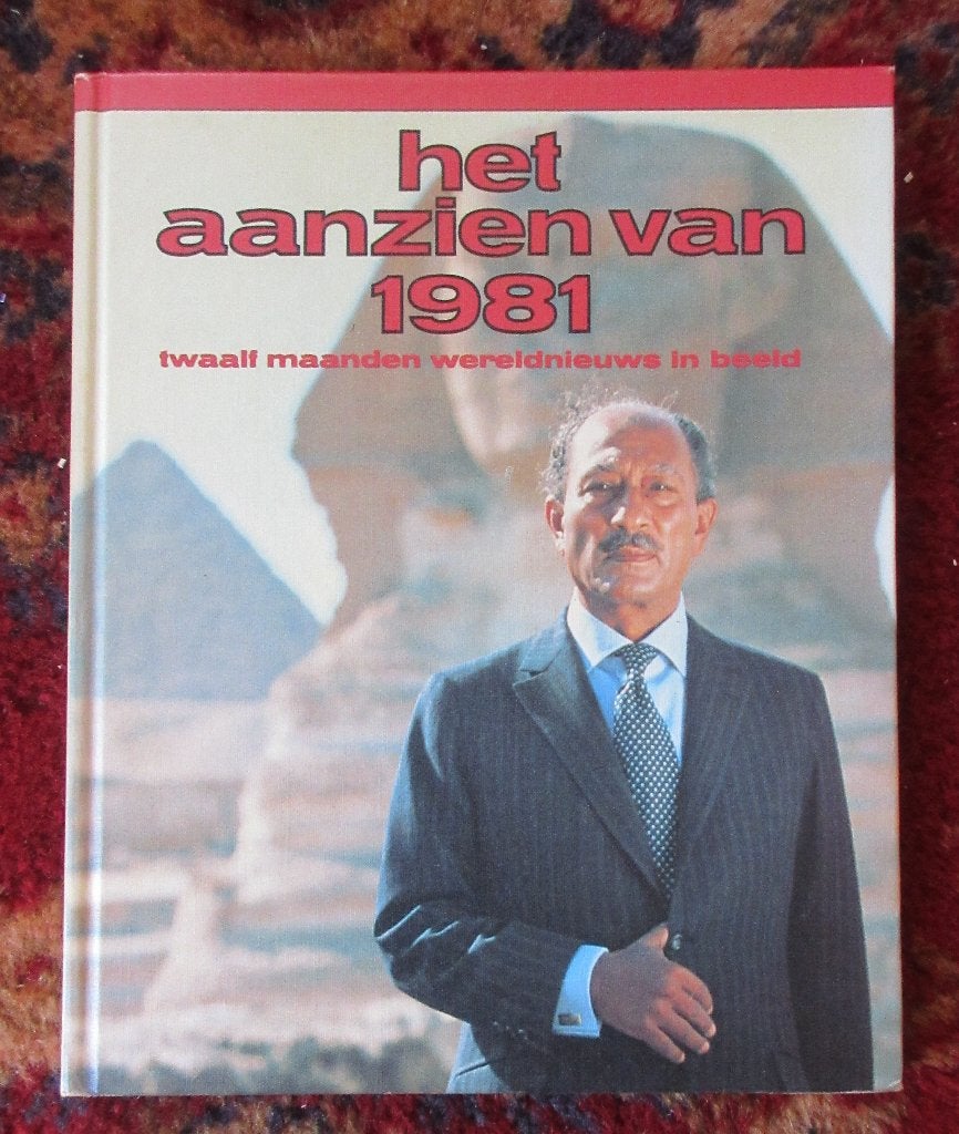 Het aanzien van 1981, Boeken, Geschiedenis | Wereld, 20e eeuw of later, Overige gebieden, Ophalen of Verzenden, Zo goed als nieuw