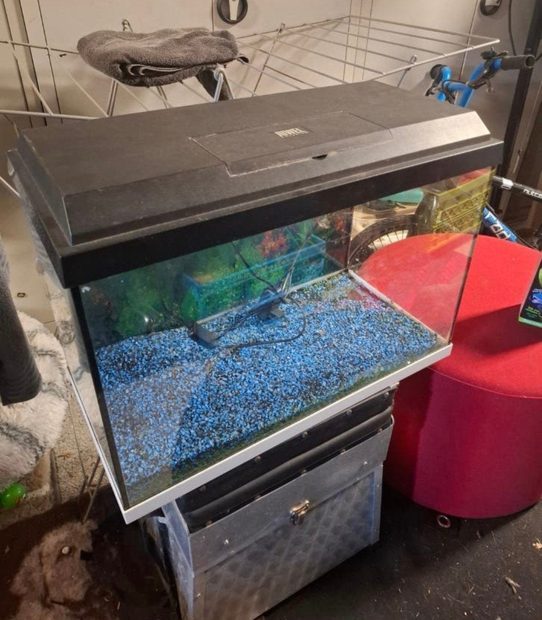 Juwel aquarium, Ophalen, Zo goed als nieuw, Leeg aquarium