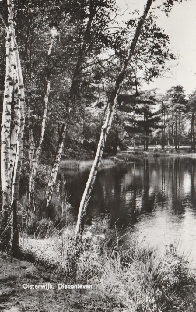 OISTERWIJK Diaconieven, Verzenden, 1960 tot 1980, Gelopen, Noord-Brabant