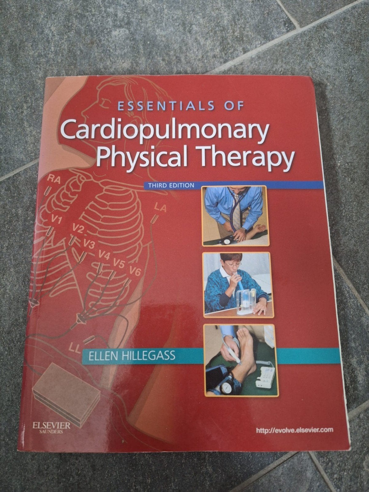 Boek essentials of cardiopulmonary physical therapy, Boeken, Ophalen of Verzenden, Beta, Zo goed als nieuw, HBO