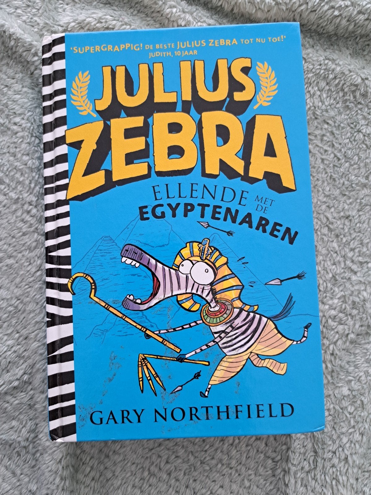 Julius Zebra: Ellende met de Egyptenaren - Gary Northfield, Ophalen of Verzenden, Zo goed als nieuw