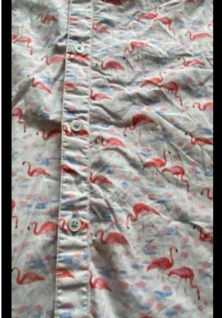 Flamingo overhemd M, Ophalen of Verzenden, Zo goed als nieuw, Roze, Halswijdte 39/40 (M)