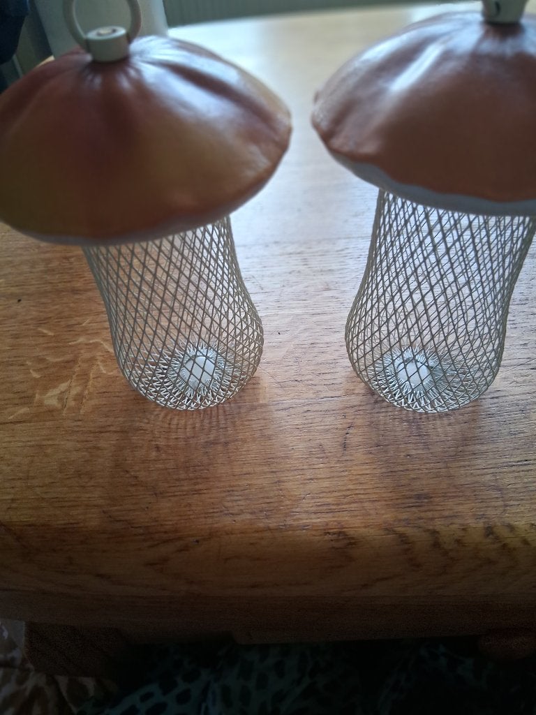 voer paddenstoel voor vogels, Ophalen, Eten en Drinken