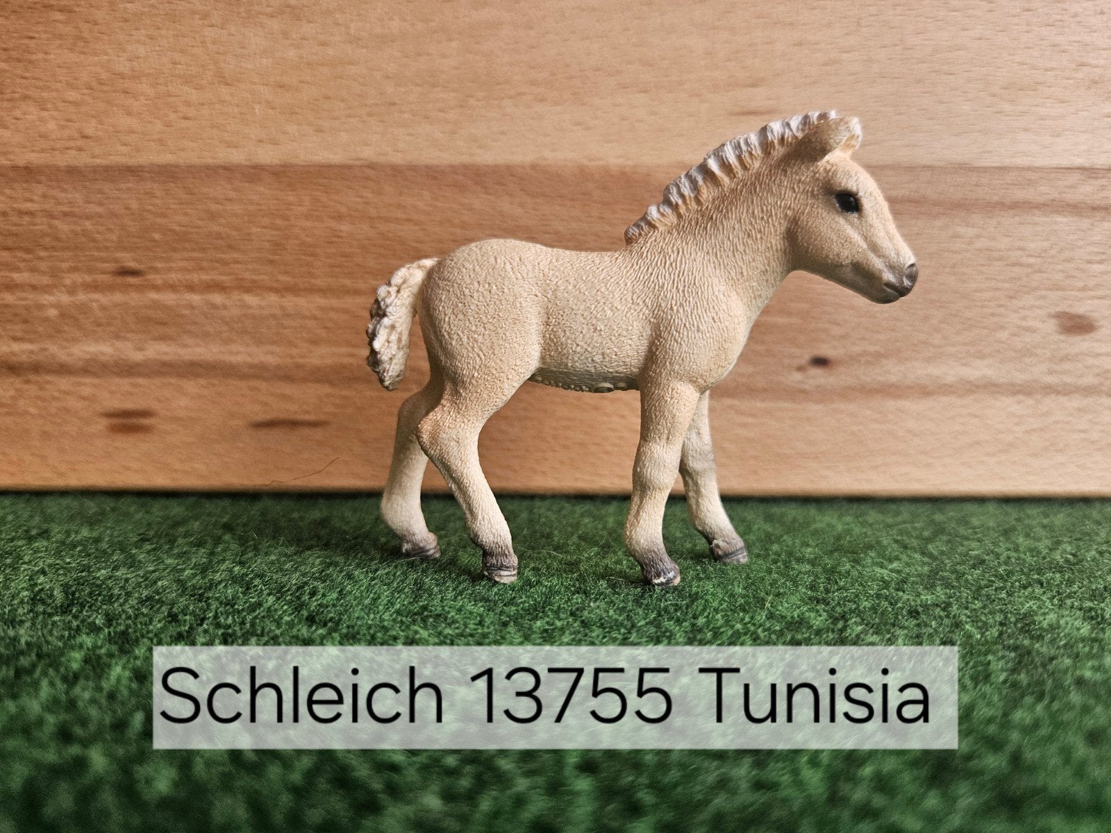 Schleich 13755 Fjord veulen uit 2014, Ophalen of Verzenden, Zo goed als nieuw, Paard, Beeldje of Figuurtje