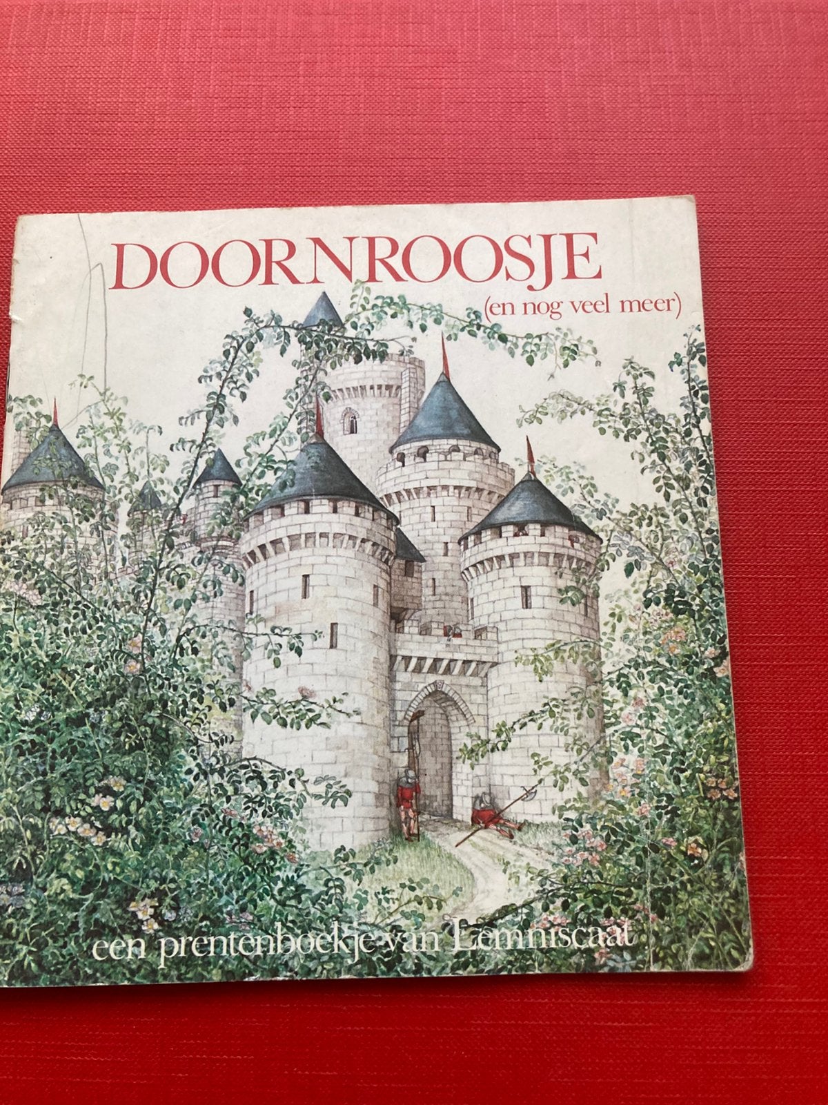 Doornroosje, Ophalen of Verzenden, Zo goed als nieuw