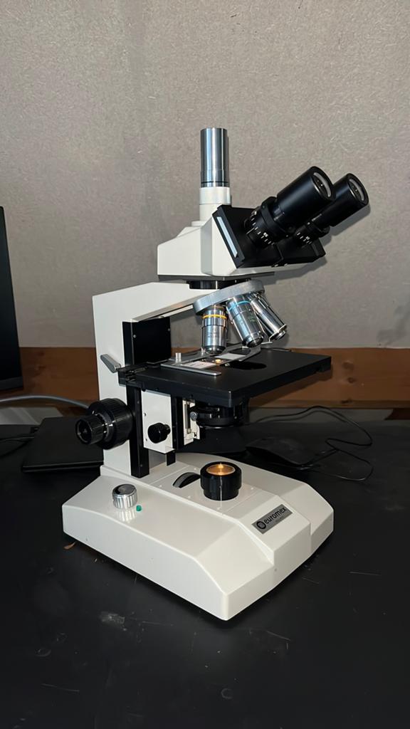 Microscoop met fasecontrast, Ophalen, Zo goed als nieuw, Vergrootglas of Loep
