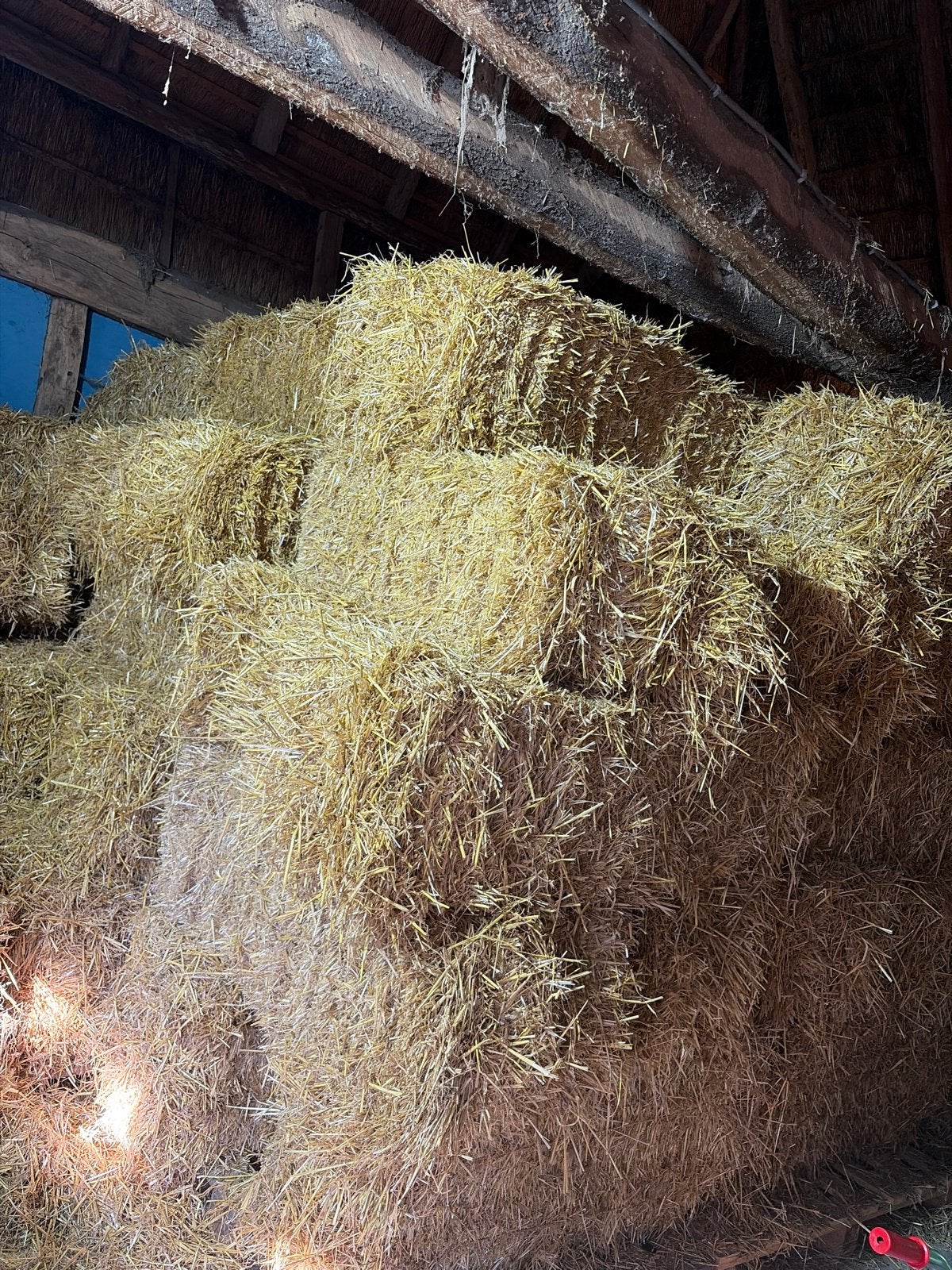 Kleine balen stro van hoge kwaliteit, Zakelijke goederen, Ophalen