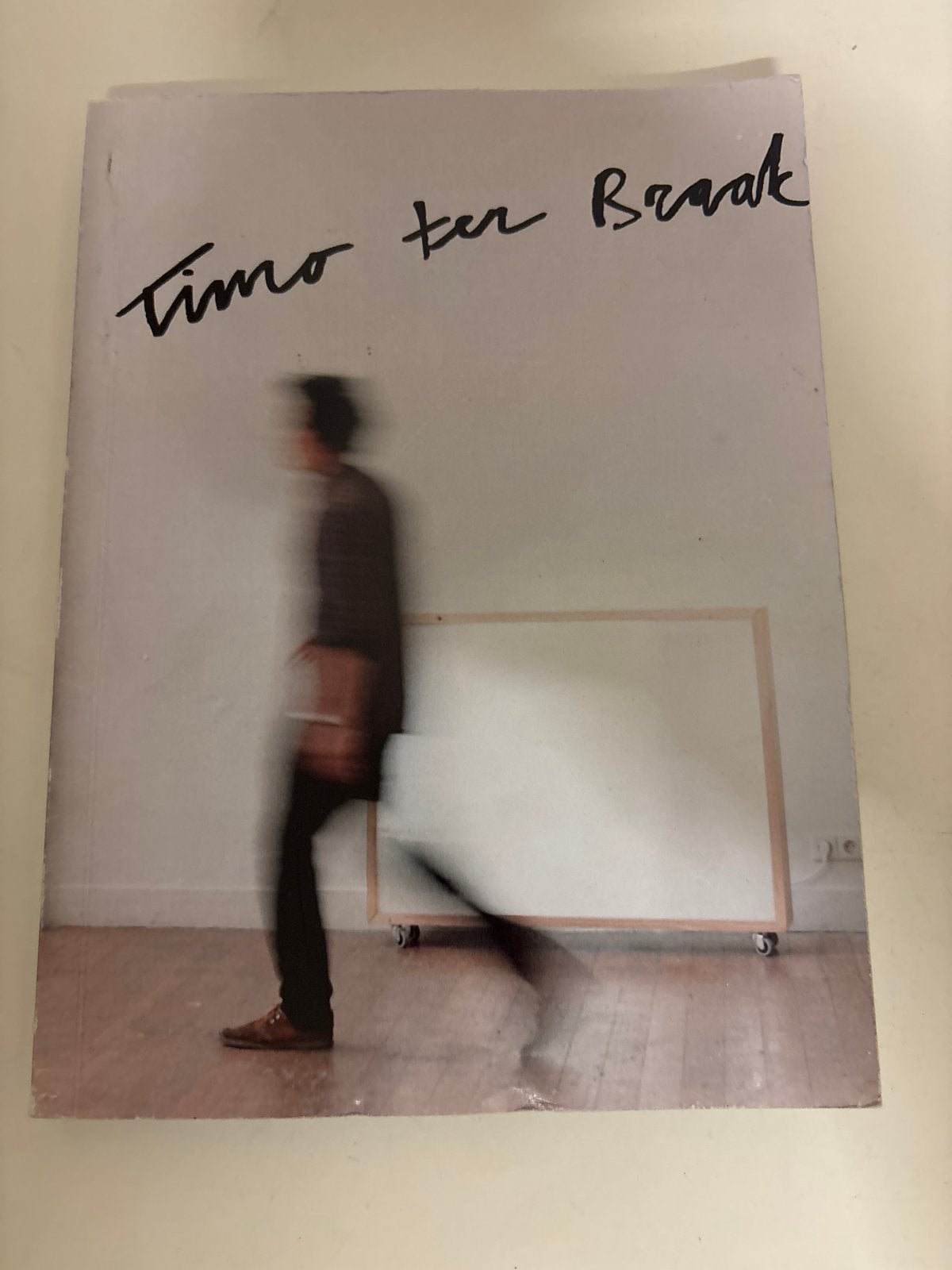 Timo ter Braak - Uniek Kunstboek, Ophalen of Verzenden, Gelezen, Nederland