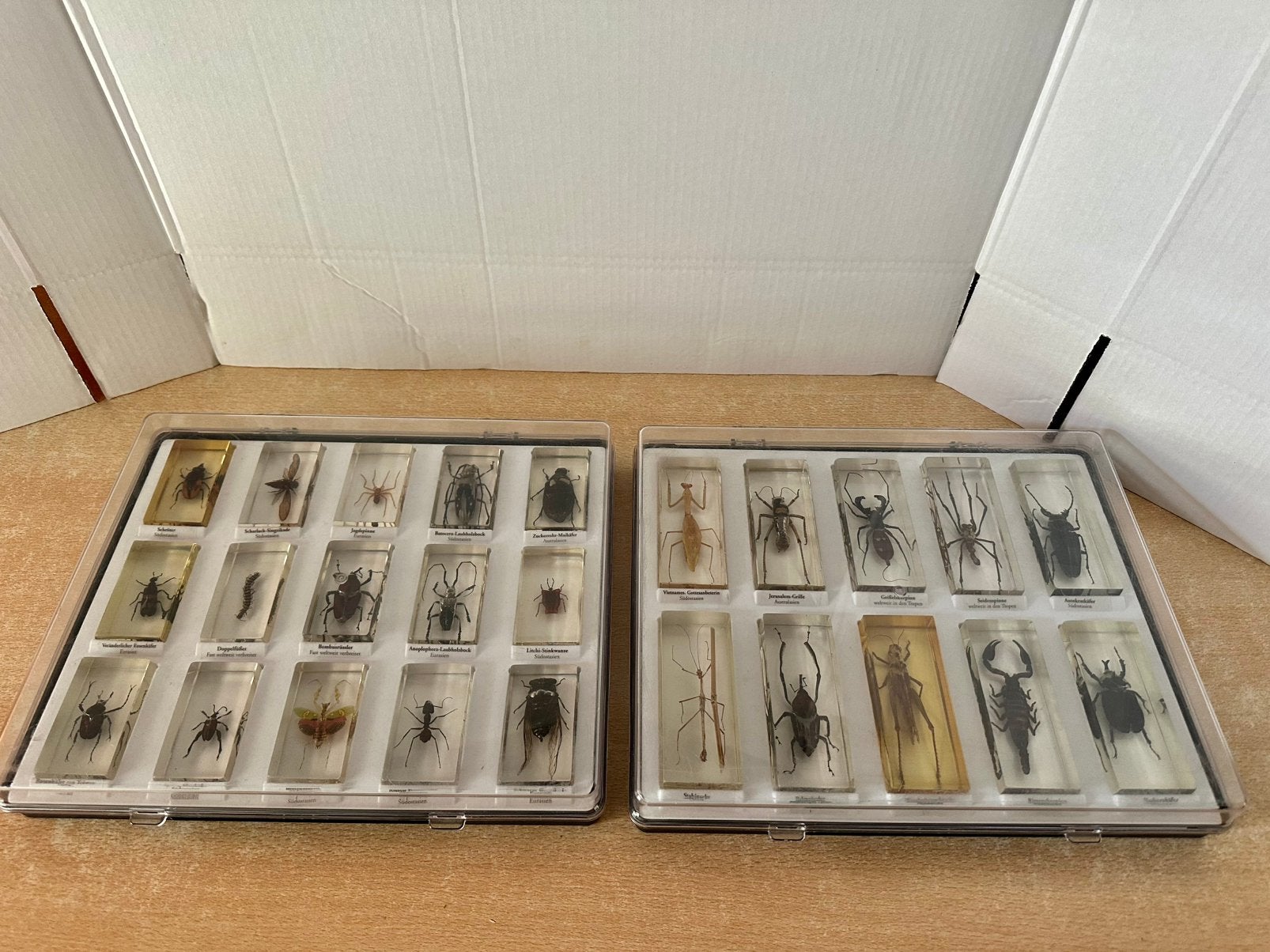 Insecten in hars, Overige soorten