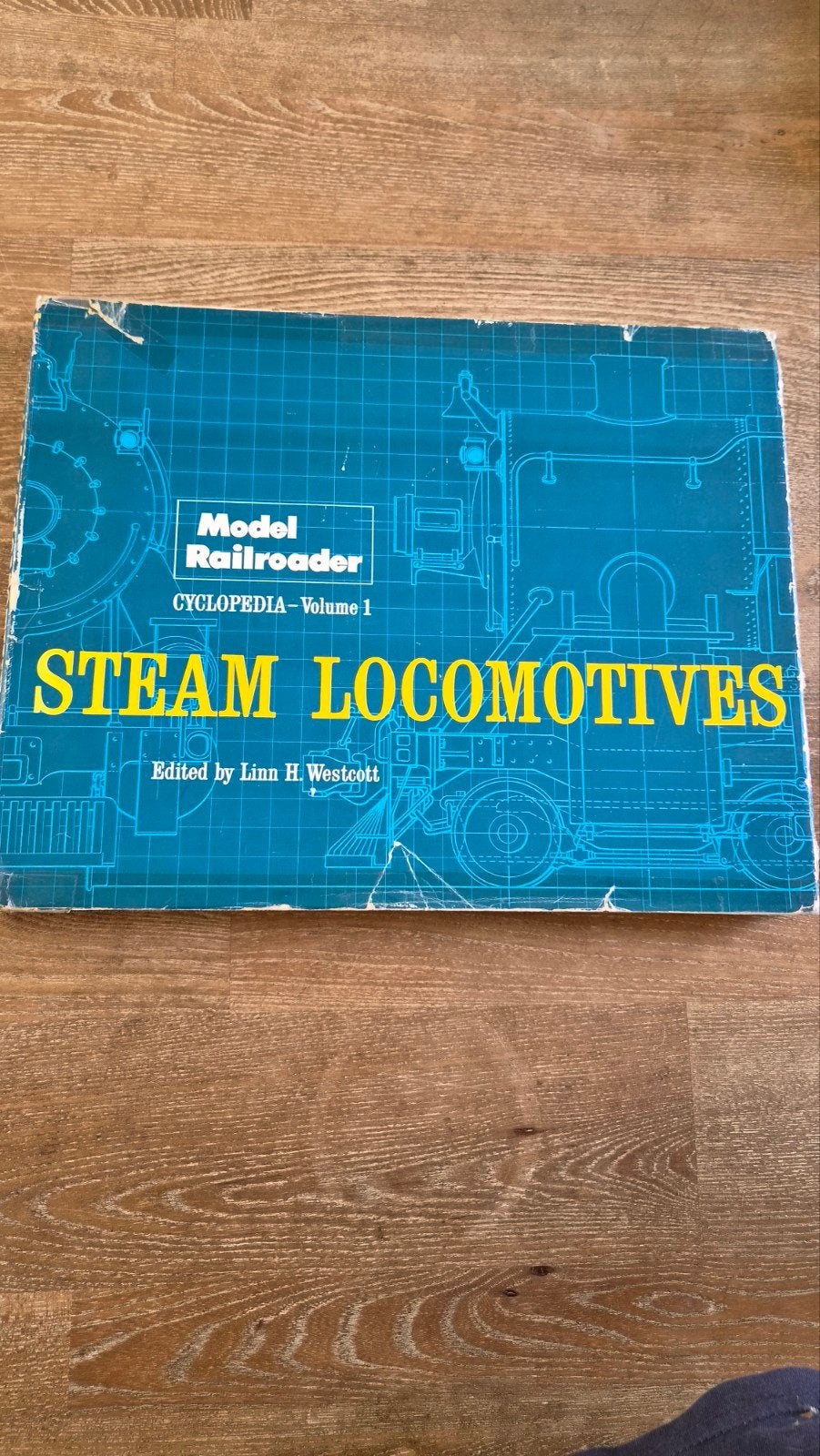 Steam locomotives, Ophalen of Verzenden, Gelezen, Trein