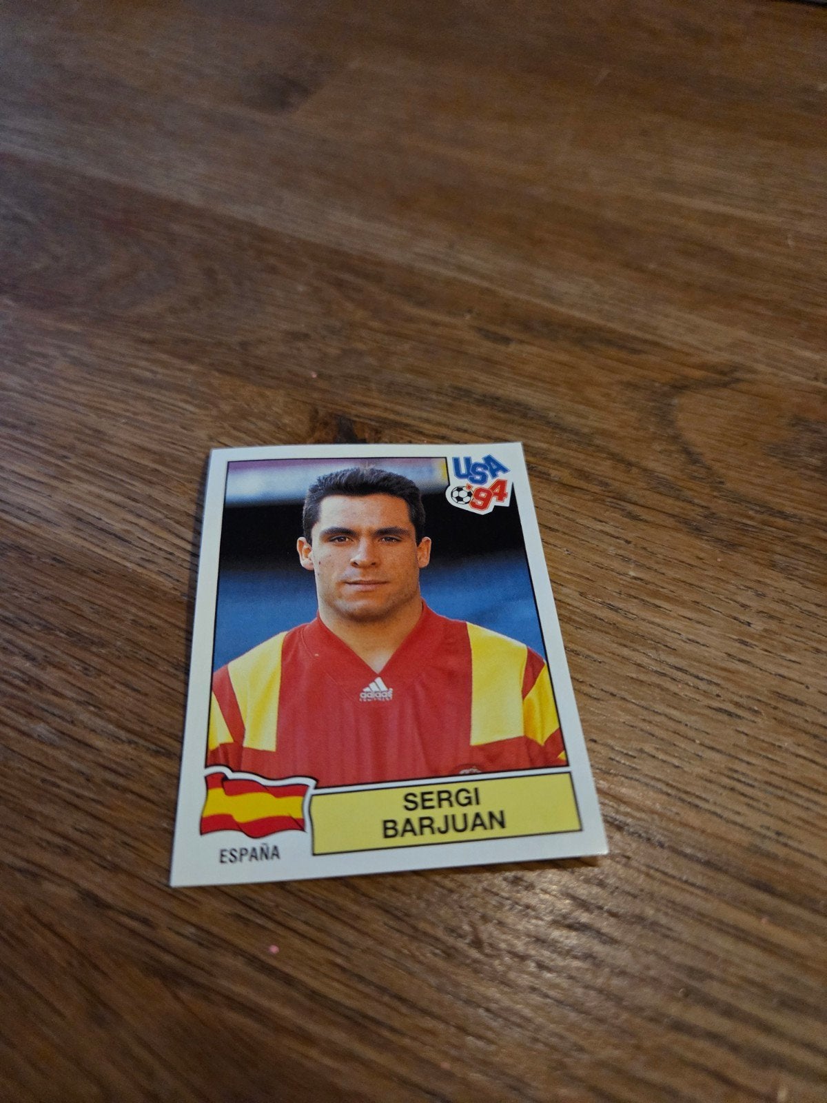 Panini WK 94, Ophalen of Verzenden, Zo goed als nieuw, Buitenlandse clubs, Poster, Plaatje of Sticker