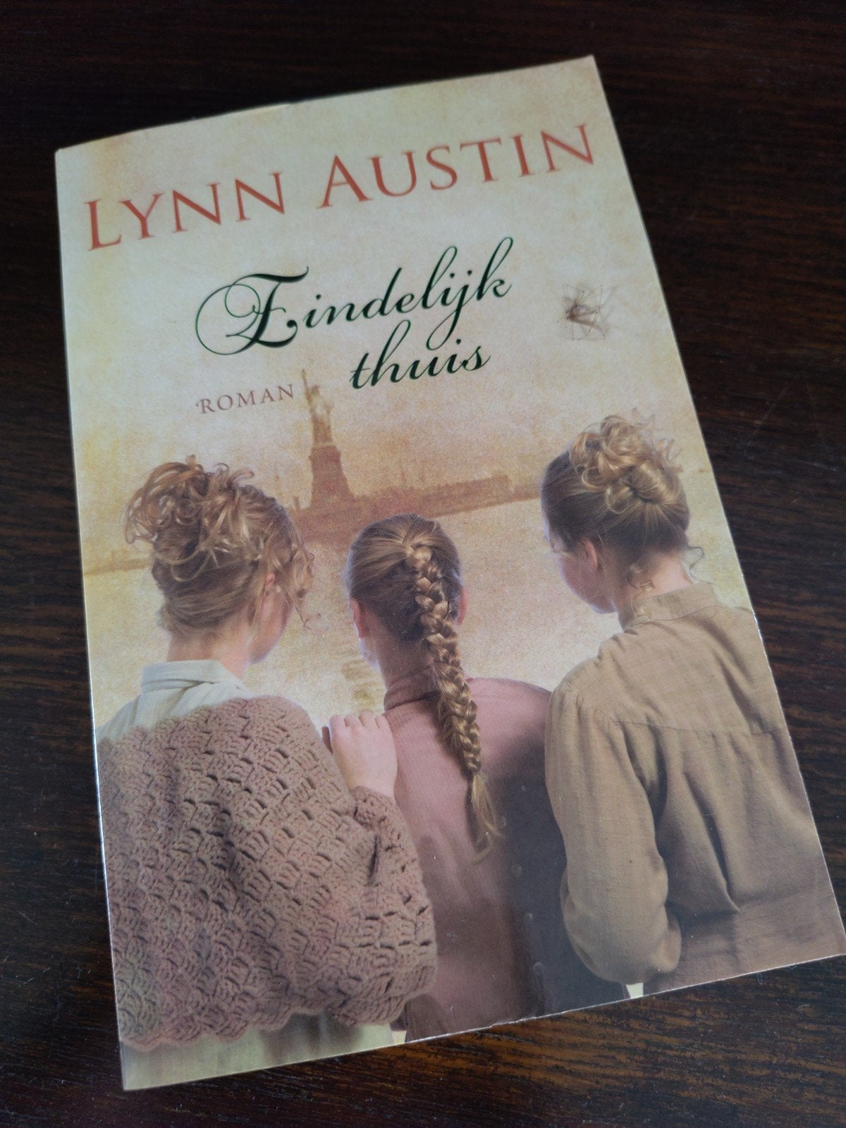 Pakketkorting - leesboek - Eindelijk thuis - Lynn Austin, Boeken, Ophalen of Verzenden, Zo goed als nieuw, Lynn Austin, Amerika