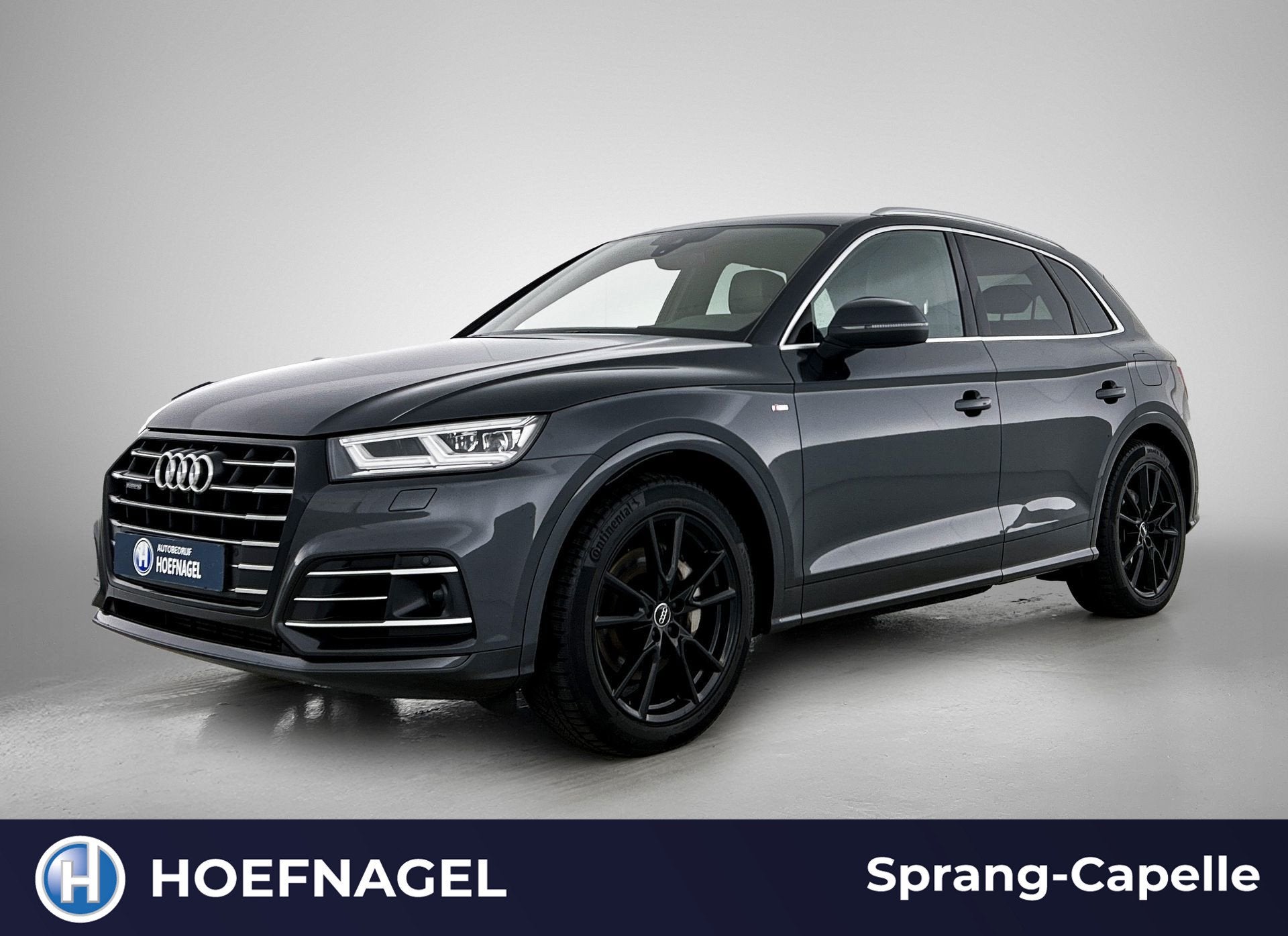 Audi Q5 55 TFSI e quattro Competition S Line | Camera | Head, Auto's, Automaat, 4 cilinders, Bedrijf, Hybride Elektrisch/Benzine