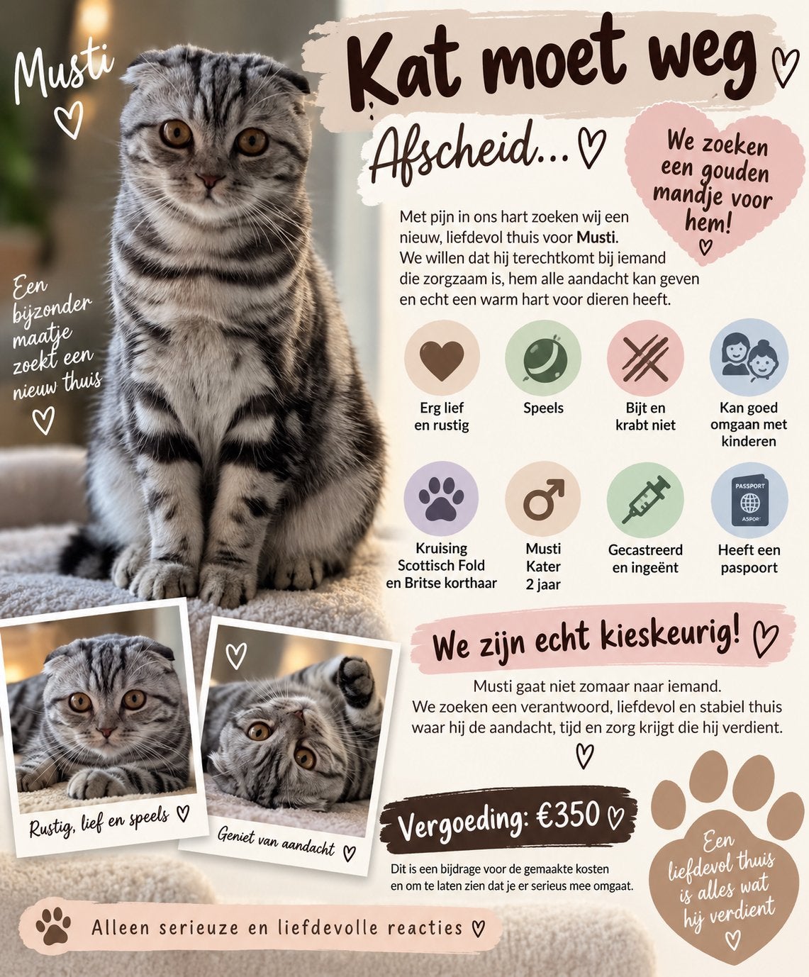 Lieve kat zoekt een gouden mandje voor altijd!