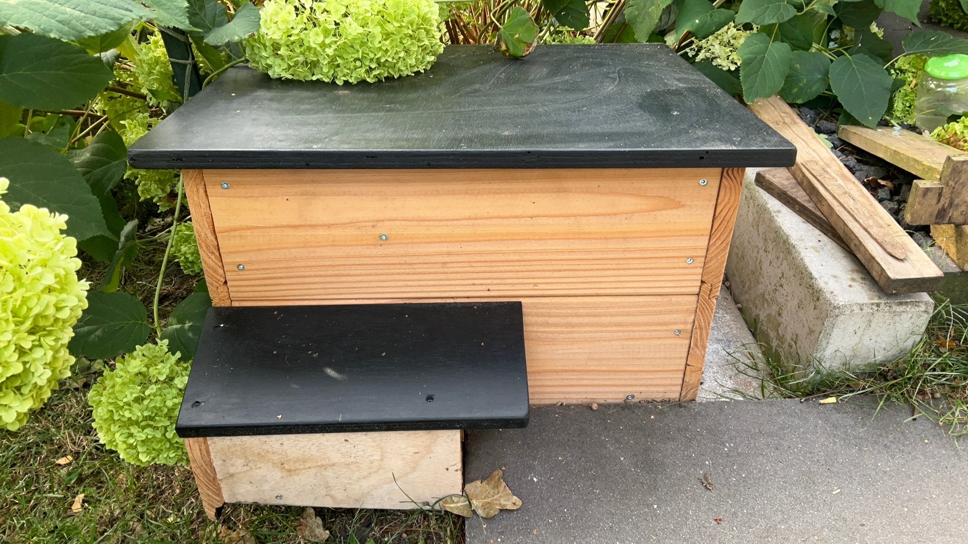Egelhuis, Ophalen of Verzenden, Nieuw, Minder dan 75 cm, Minder dan 60 cm