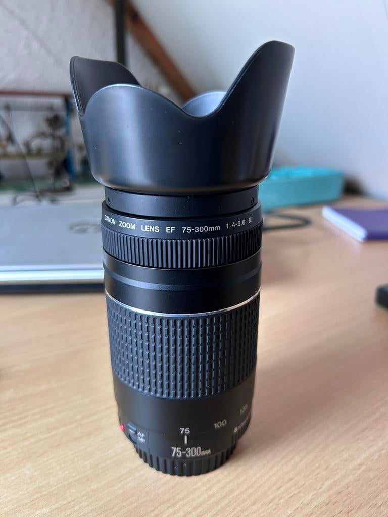 Canon zoom lens EF 75-300mm 4-5.6 III, Audio, Tv en Foto, Fotografie | Lenzen en Objectieven, Ophalen of Verzenden, Zo goed als nieuw
