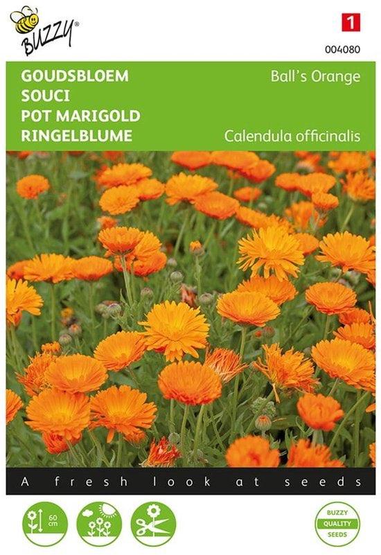 Bloemzaden - Goudsbloem - Ball’s Orange, Verzenden, Gehele jaar, Halfschaduw, Zaad