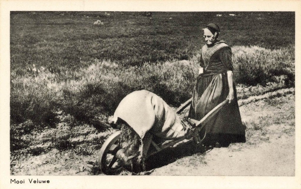 Mooi Veluwe, Kruiwagen, Klederdracht, Verzamelen, Ansichtkaarten | Nederland, Ophalen of Verzenden, 1940 tot 1960, Ongelopen, Gelderland