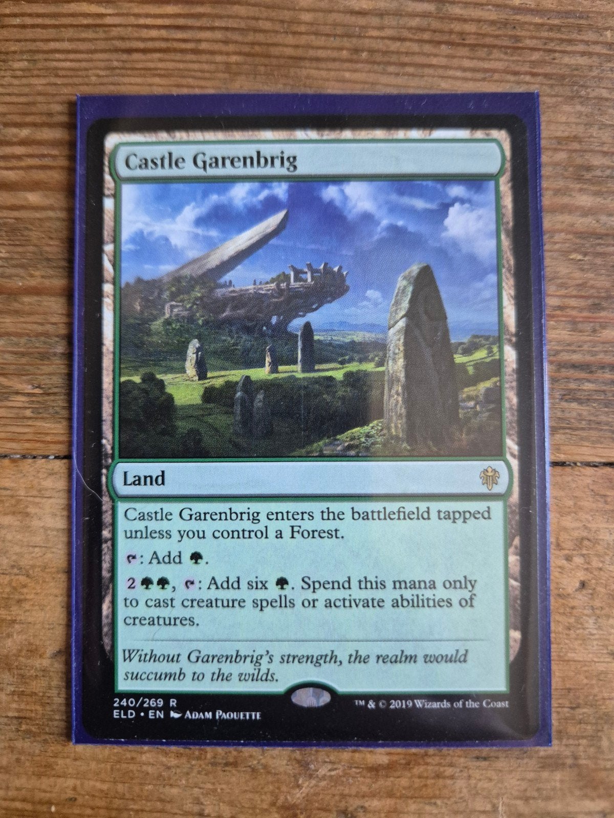 Castle Garenbrig, Ophalen of Verzenden, Zo goed als nieuw, Losse kaart