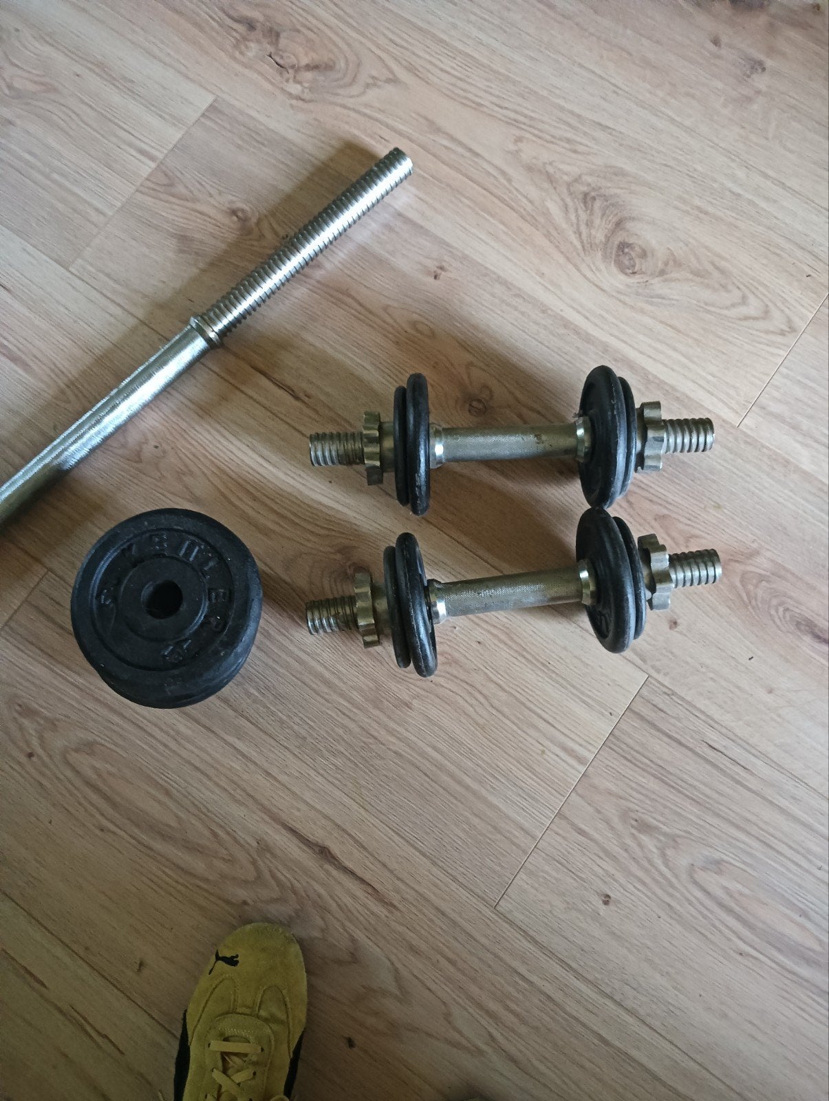 Halterset met losse gewichten en lange halterstang, Sport en Fitness, Fitnessmaterialen, Ophalen, Gebruikt, Rug, Halterset