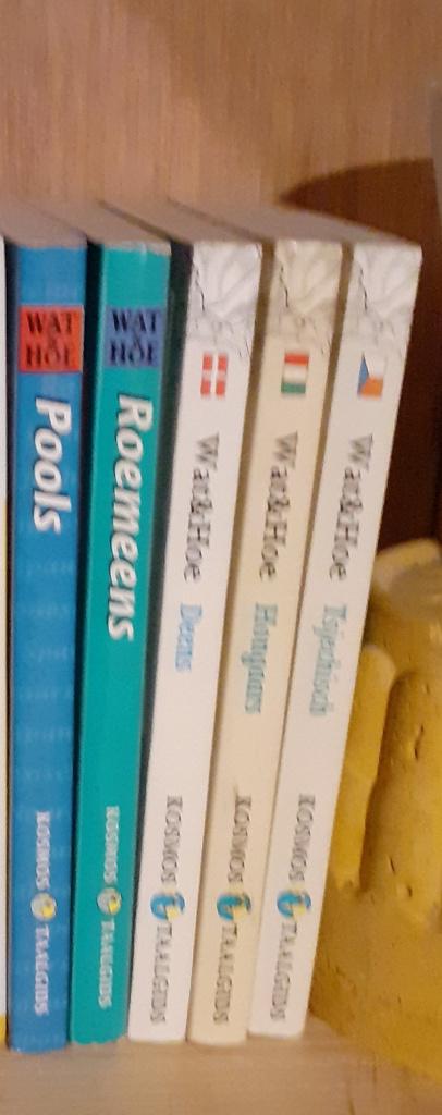 Roemeens Pools Deens Hongaars Tsjechisch van Dale, Boeken, Nederlands, Ophalen of Verzenden, Van Dale, Wat en Hoe van Dale