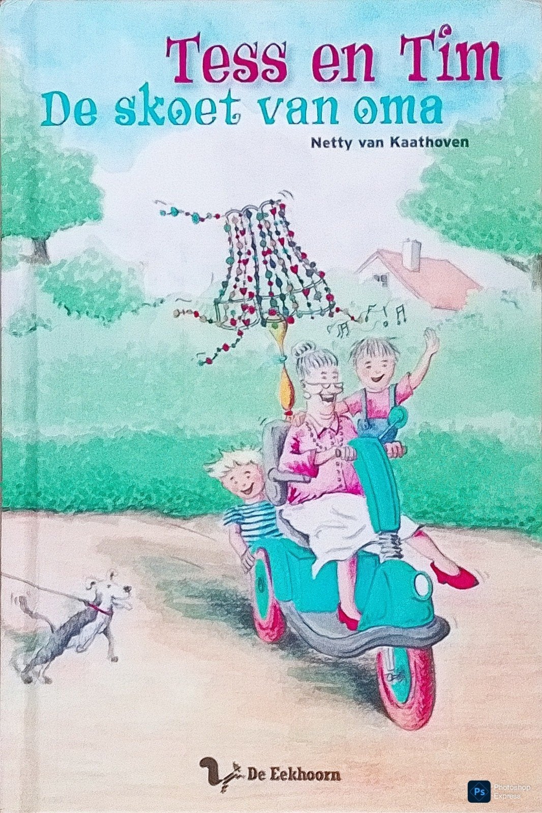 Tess En Tim De Skoet Van Oma, Boeken, Gelezen, Fictie algemeen, Netty Van Kaathoven., Ophalen of Verzenden