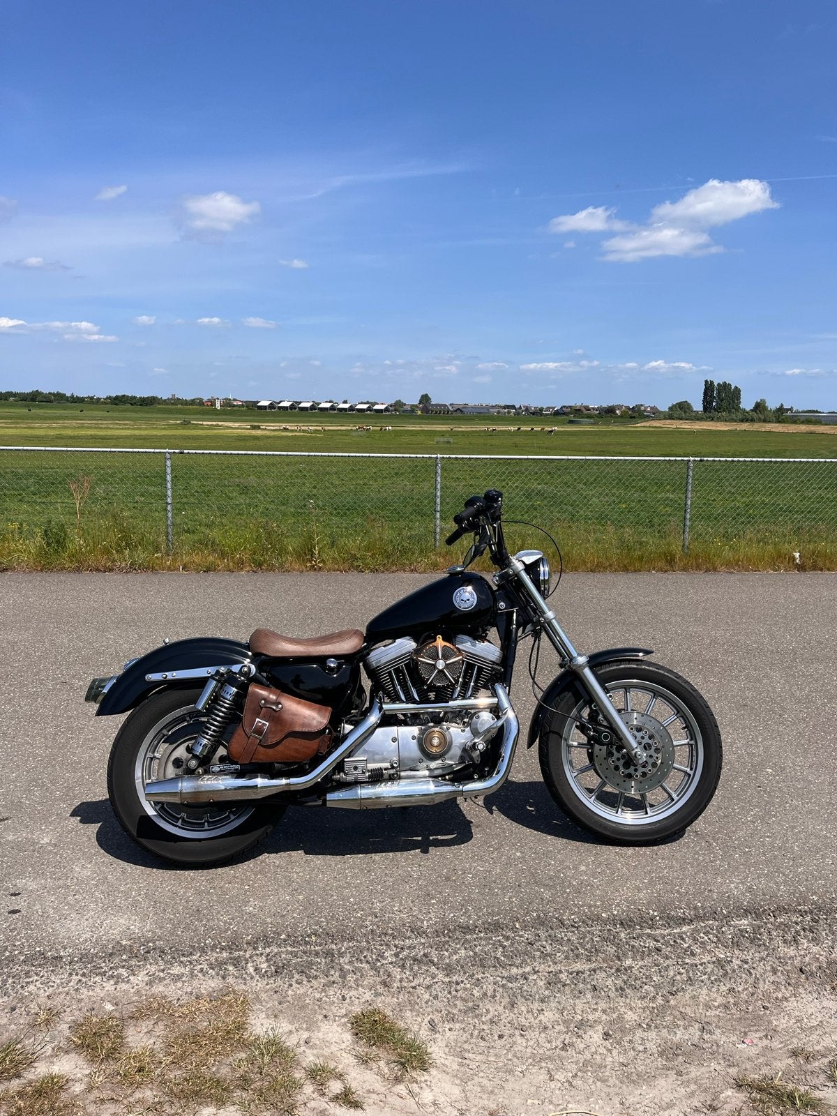 Harley Davidson Sportster XL1200s - Veel extra's!, 2 cilinders, Gebruikt, Particulier, Meer dan 35 kW