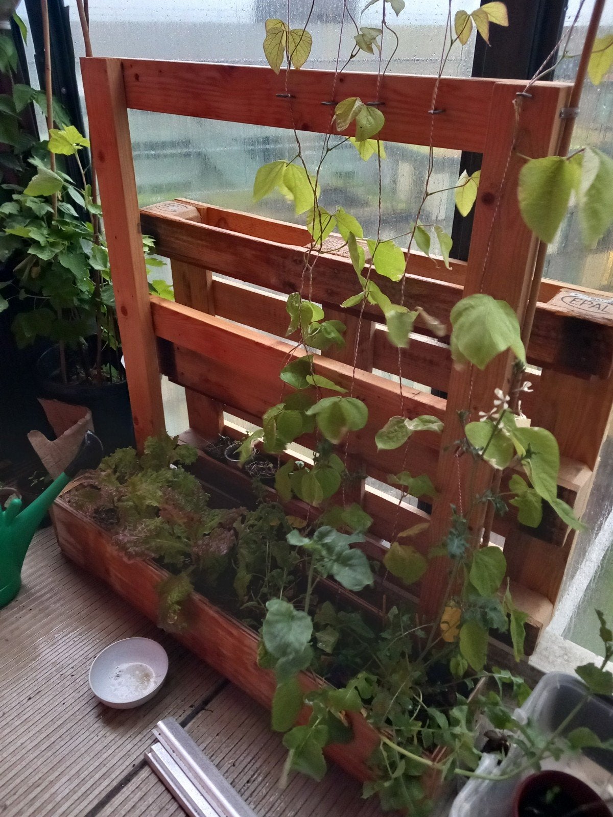 Houten plantenbak met klimrek, Ophalen of Verzenden, Hout, Balkon
