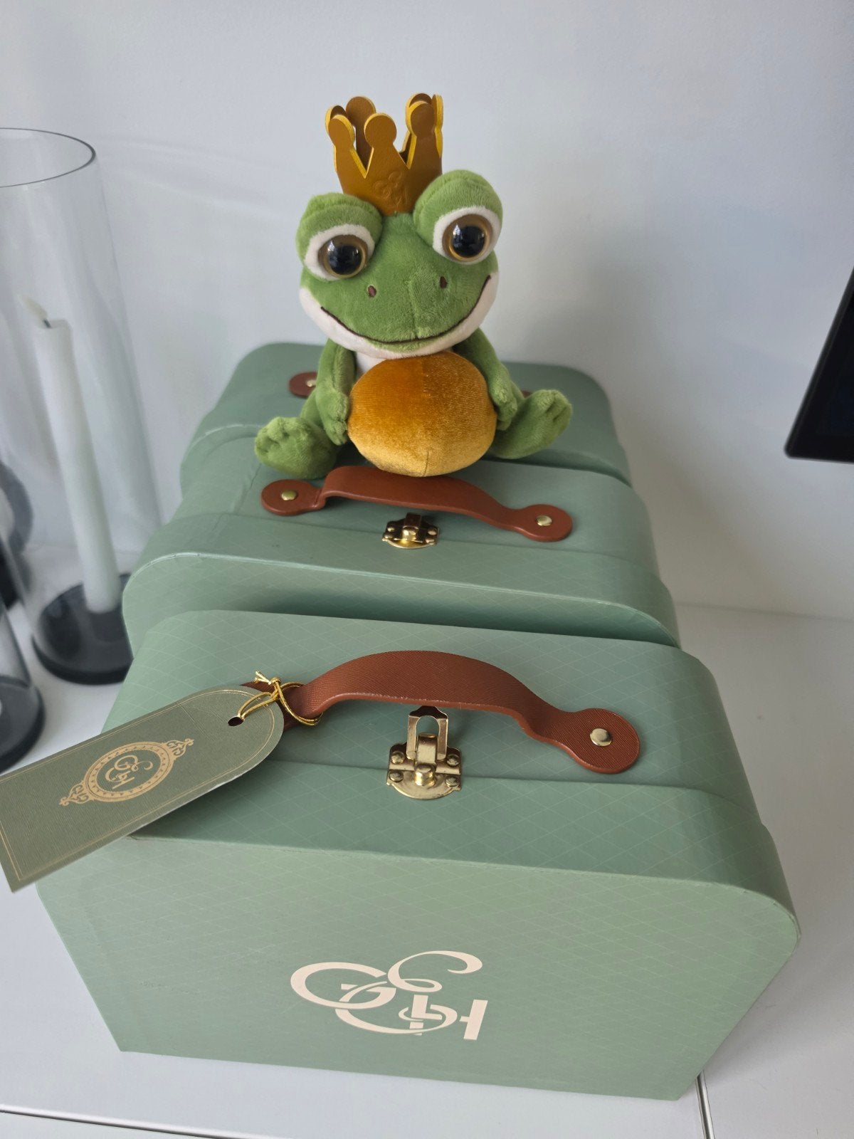 efteling grandhotel exlusieve koffer en kikker knuffel, Boeken, Ophalen of Verzenden, Nieuw