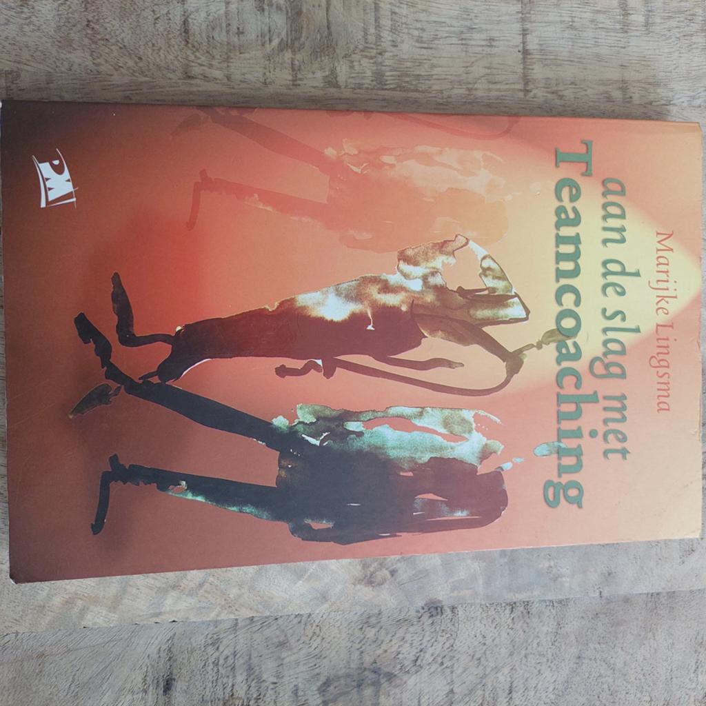 M. Lingsma - Aan de slag met Teamcoaching, Boeken, Ophalen of Verzenden, Zo goed als nieuw, M. Lingsma
