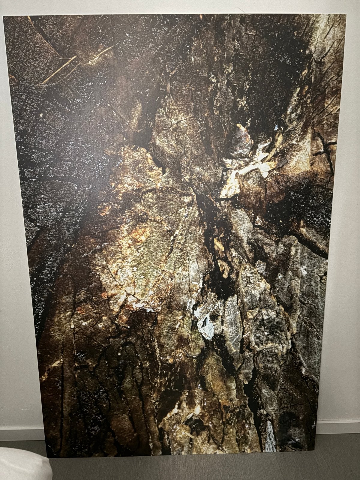 Wallart foto op alu paneel - Abstracte boomstam, Ophalen, Zo goed als nieuw, Foto of Poster, 75 – 100