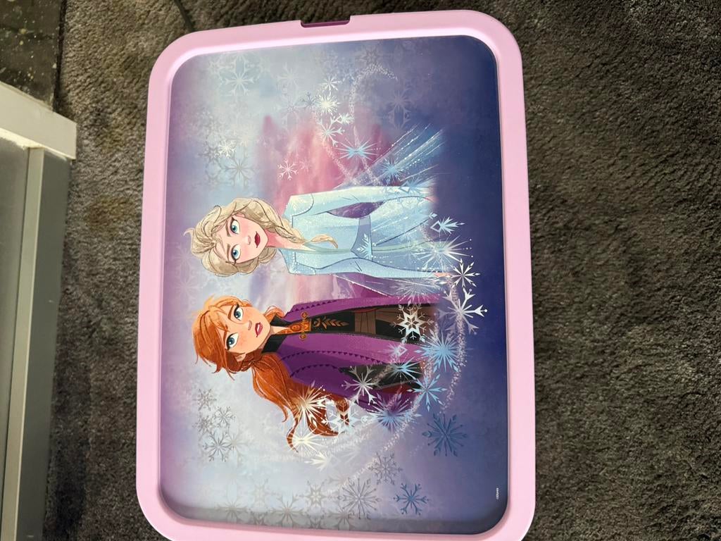 Frozen opberg boxen, Ophalen of Verzenden, Zo goed als nieuw, Meisje