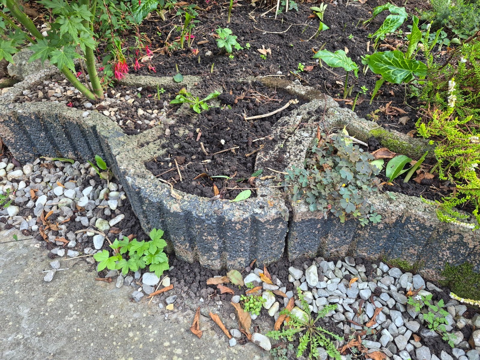 8 stuks betonnen plantenbakken voor tuin of border, Tuin en Terras, Ophalen, Gebruikt, Minder dan 30 cm, Minder dan 60 cm