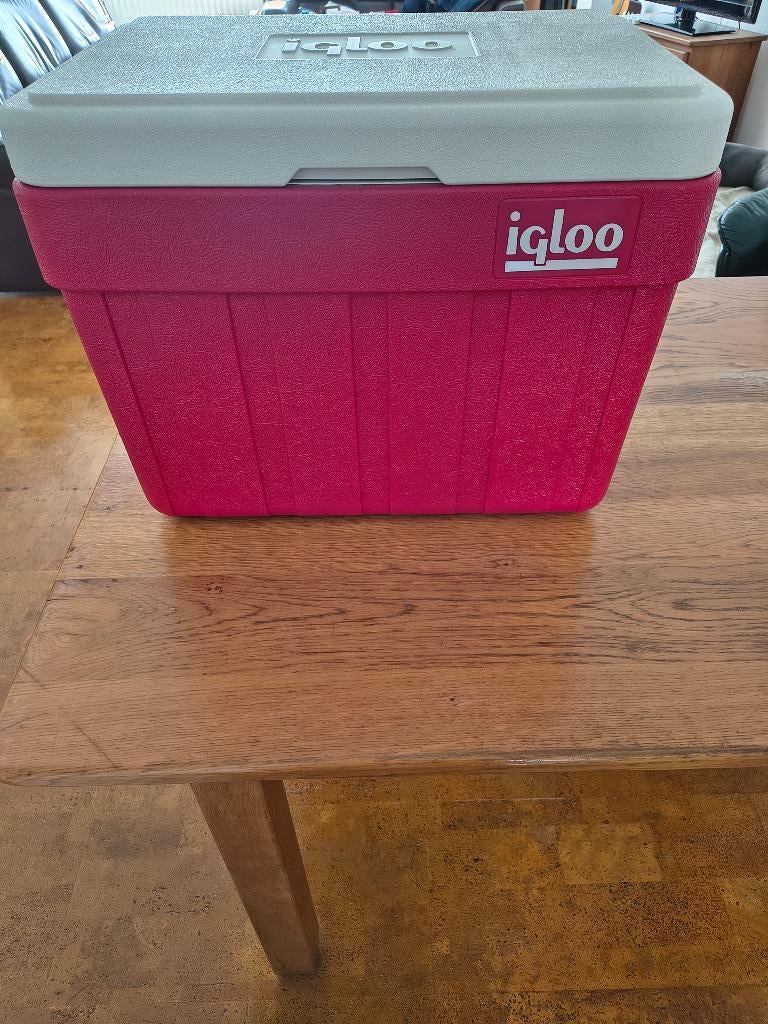 Igloo koelbox, met handvatten en aftapkraantje, Ophalen, Nieuw, Koelbox, Koelelement