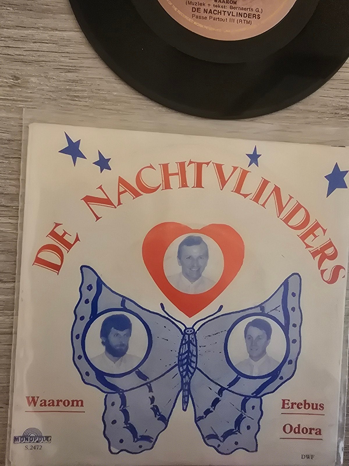 De Nachtvlinders/ waarom ( zeldzaam, Ophalen of Verzenden, Gebruikt, 7 inch, Levenslied of Smartlap