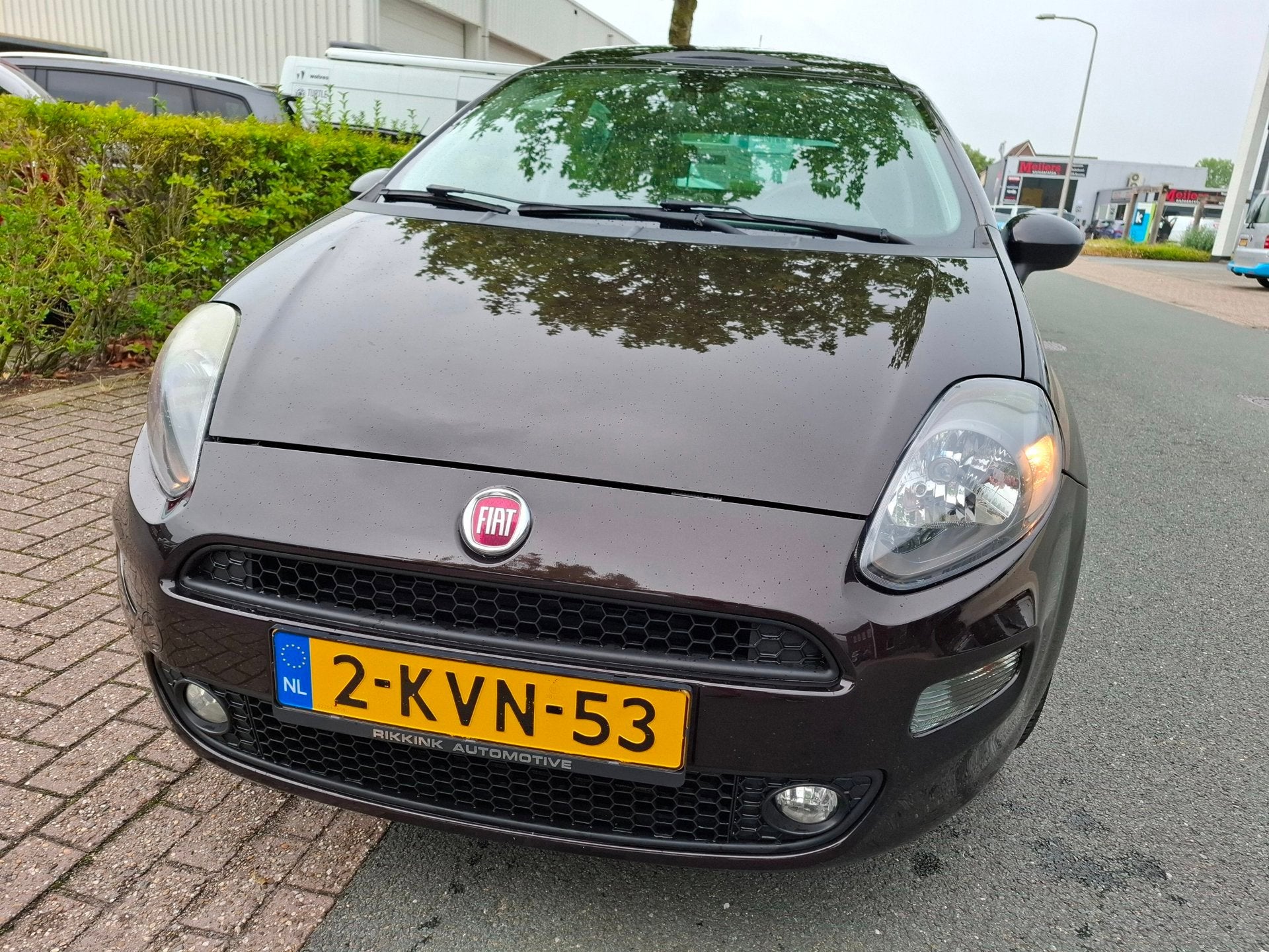 Fiat Punto Evo 0.9 TwinAir Lounge CLIMA/CRUISE/PANO!, Auto's, Fiat, Voorwielaandrijving, Euro 5, 86 pk, Gebruikt