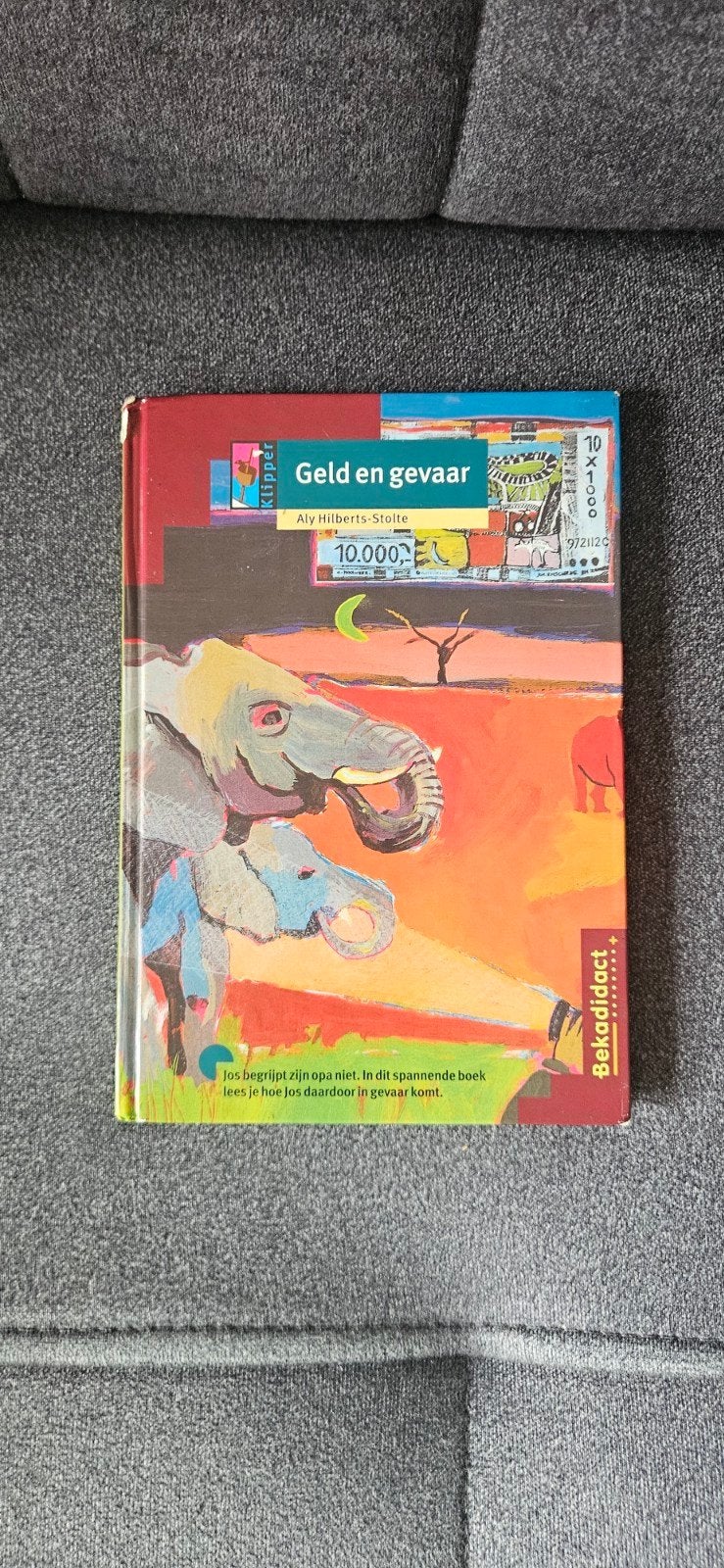 Geld en Gevaar - Spannend boek van Aly Hilberts-Stolte, Ophalen of Verzenden