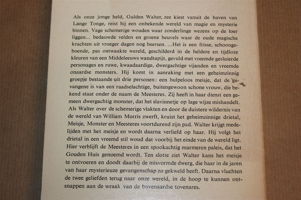 Het Woud achter de Wereld — William Morris, Bakker 1973, Boeken, Ophalen of Verzenden, Gelezen