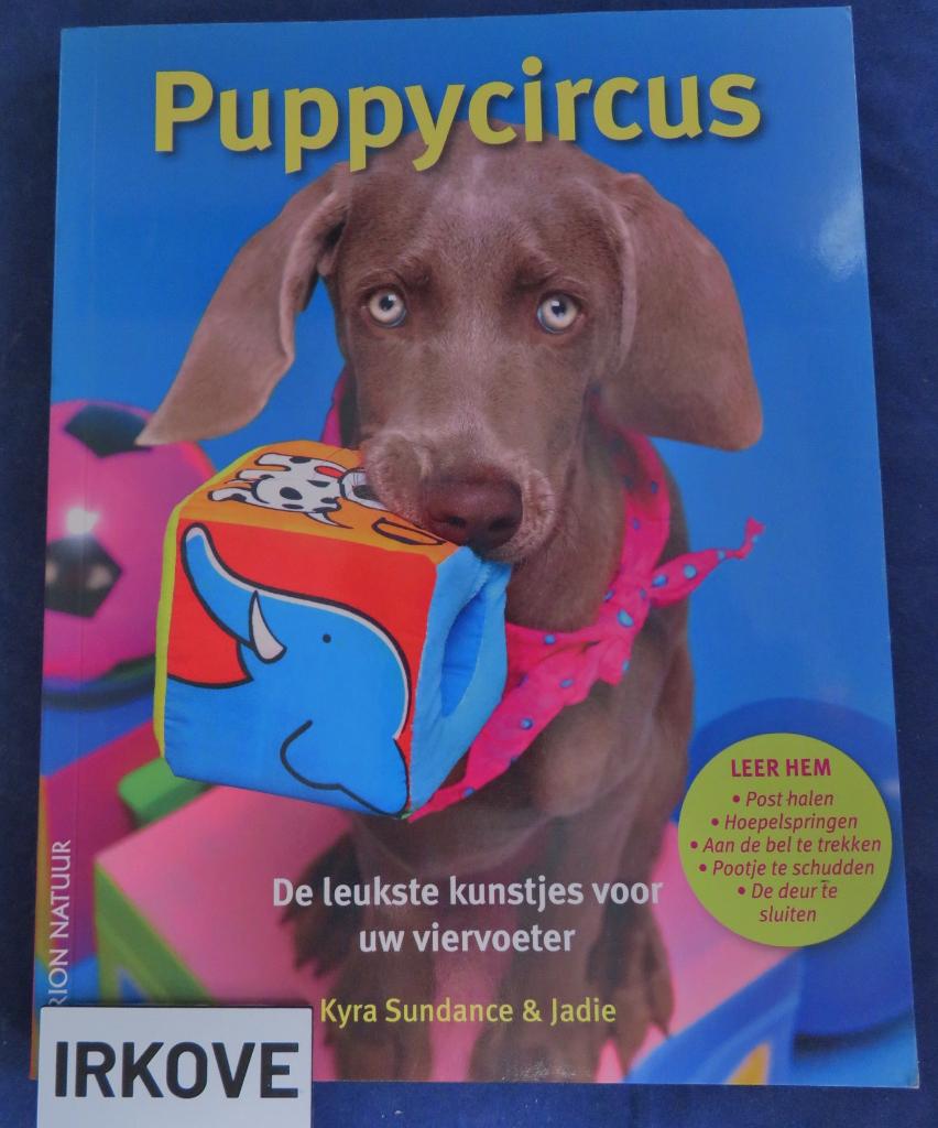 HONDEN TRUCS EN SPELLETJES * Divers *, Boeken, Verzenden, Zo goed als nieuw, Honden, Meerdere auteurs