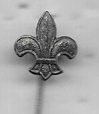 SCOUTING SPELD, Verzamelen, Ophalen of Verzenden, Gebruikt, Overige onderwerpen, Speldje of Pin