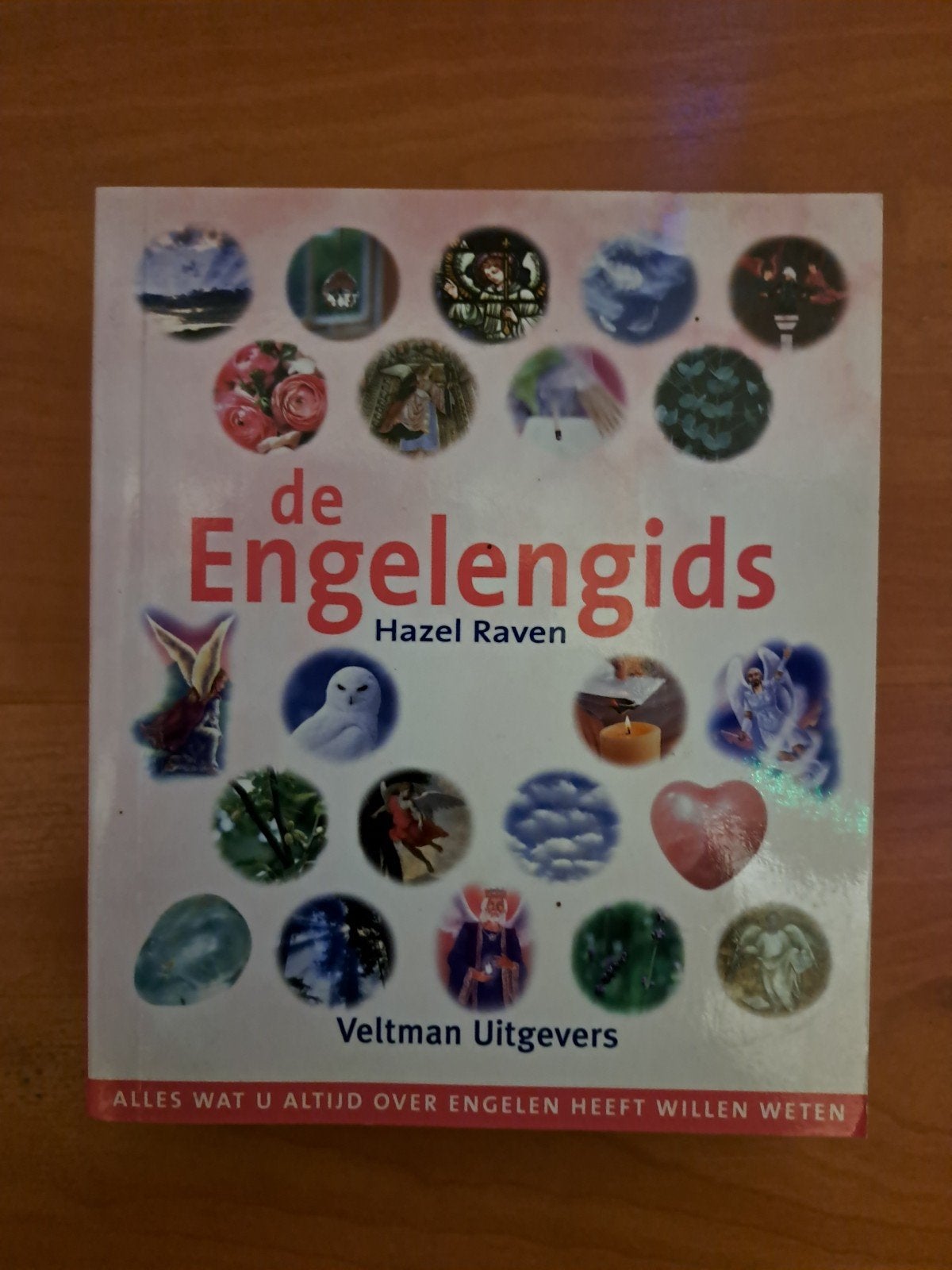 De Engelengids - Alles over engelen, Boeken, Ophalen of Verzenden, Zo goed als nieuw