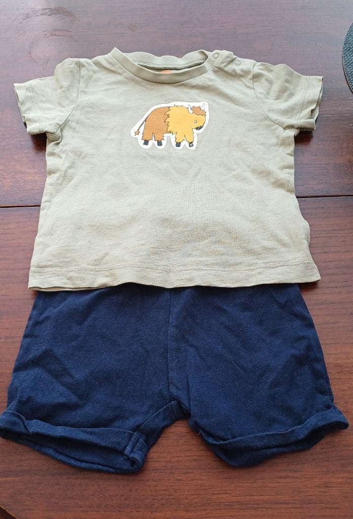 Kort broekje met shirtje, Kinderen en Baby's, Babykleding | Maat 74, Gebruikt, Broekje, Ophalen of Verzenden, Hema