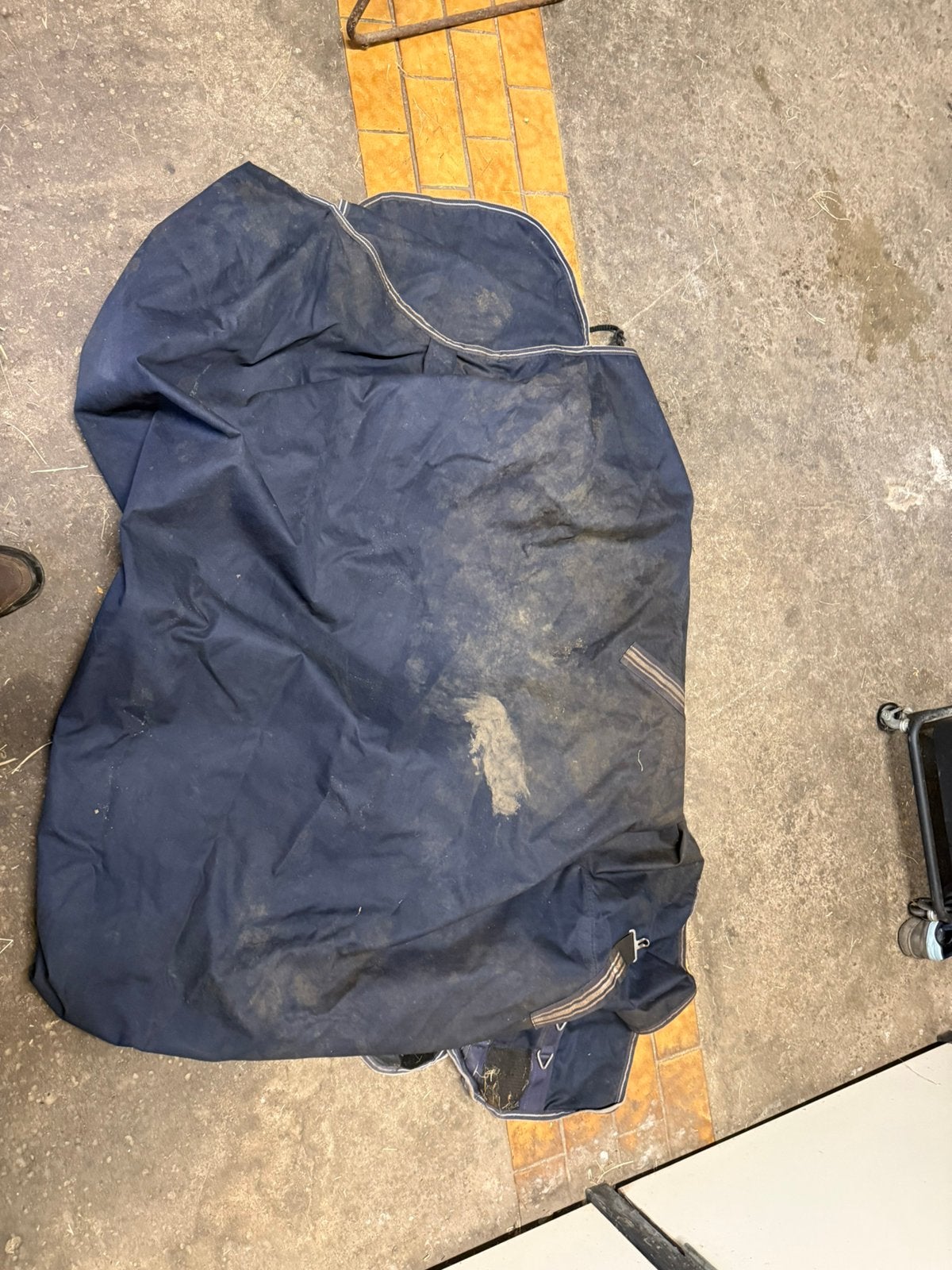 Paardenspullen te koop, Gebruikt, Blauw, Deken, Full (L)