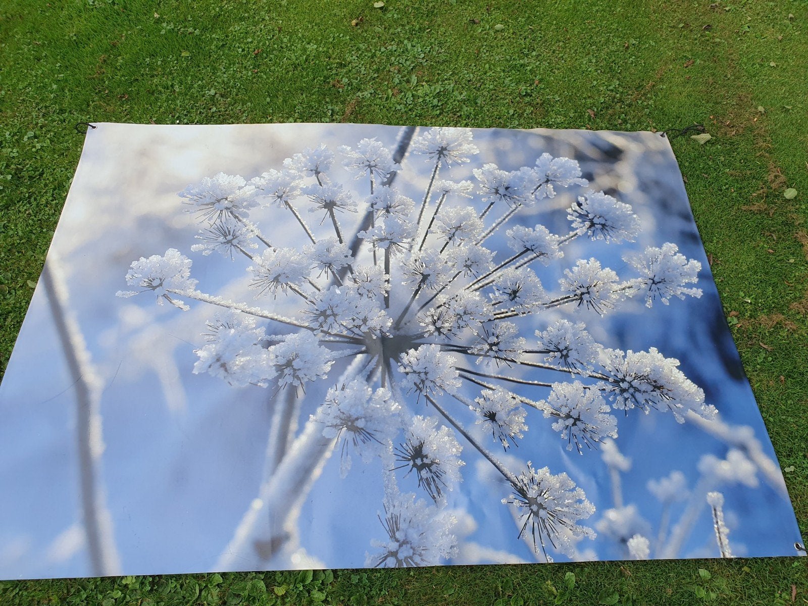 Grote tuinposter winter decor, Ophalen