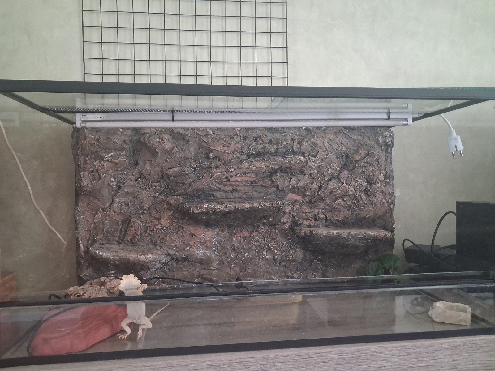 Terrarium met achter grond, Dieren en Toebehoren, Reptielen en Amfibieën | Toebehoren, Ophalen, Zo goed als nieuw, Terrarium of Paludarium