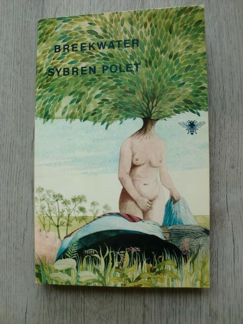 Sybren Polet - Breekwater, Ophalen of Verzenden, Nieuw